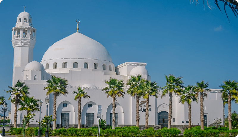 Saudi Arabia defines itself as a sovereign Arab Islamic state.